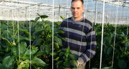 Masterclass ondersteunt teler op zoek naar nieuwe marktbenadering