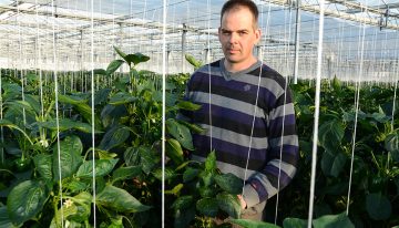 Masterclass ondersteunt teler op zoek naar nieuwe marktbenadering