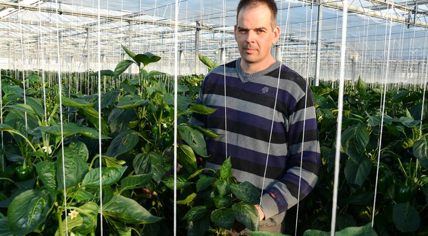 Masterclass ondersteunt teler op zoek naar nieuwe marktbenadering