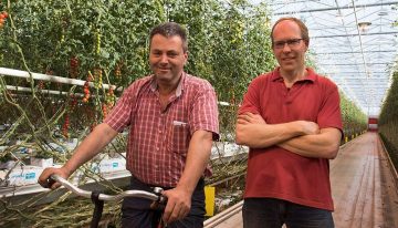 ‘Goede plantbalans zorgt voor lagere belasting en snellere afrijping’