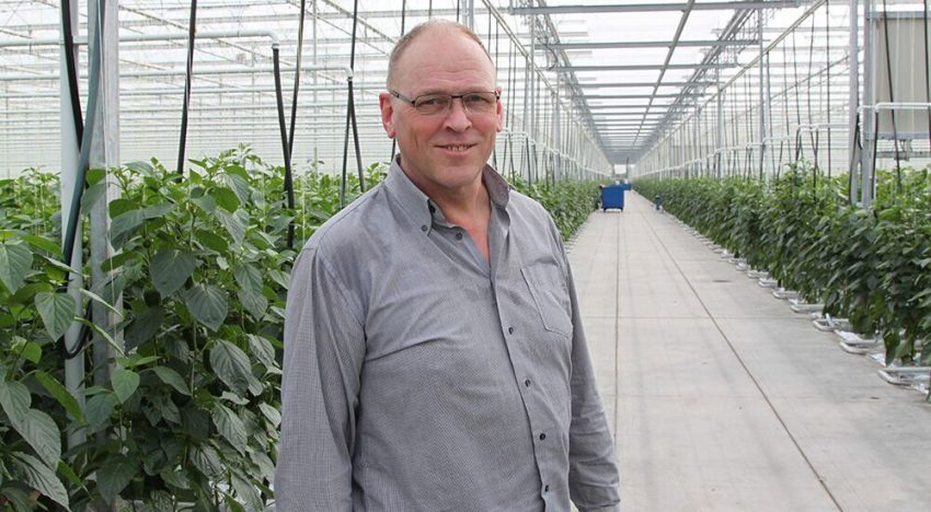 Homogener kasklimaat vergt andere kijk op installaties en sturing