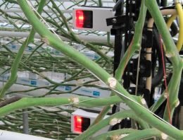 Alleen spuiten waar een plant staat, bespaart veel middel