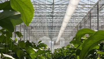 ‘Veelheid aan oplossingen is te complex en belemmert kennisuitwisseling’