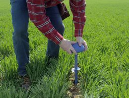 LoRa-netwerk Westland genomineerd voor award