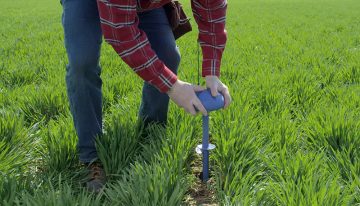 LoRa-netwerk Westland genomineerd voor award