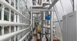 Ondernemers zien afzetrisico’s als grootste rem op innovatie