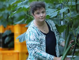 Mellantas breidt teelt mini-komkommers flink uit
