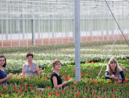 Kas groeit en Mobiliteitscentrum Glastuinbouw samen verder