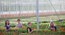Loopbaanvoucher biedt medewerker ondersteuning bij doorgroeien of specialisatie