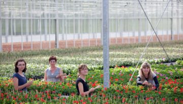 Loopbaanvoucher biedt medewerker ondersteuning bij doorgroeien of specialisatie