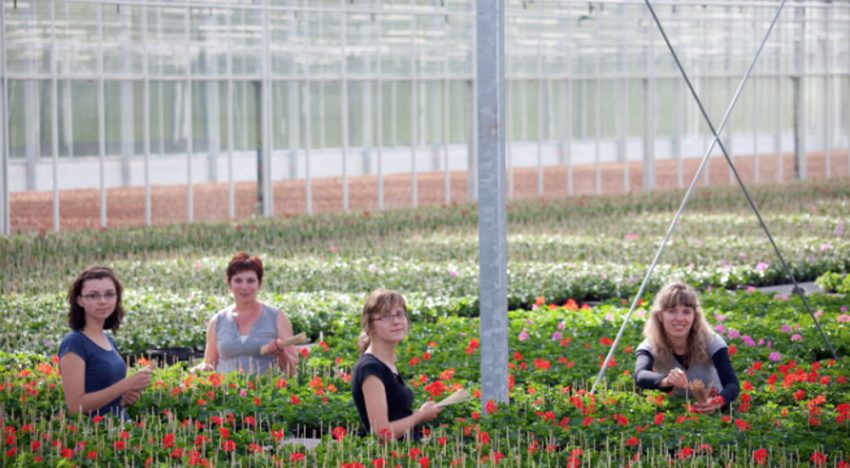 Kas groeit en Mobiliteitscentrum Glastuinbouw samen verder