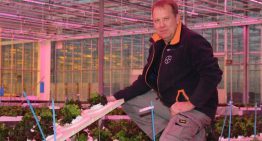 LED’s bieden nieuwe mogelijkheden en kansen voor slateelt op water