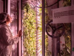 Start-up Agricool haalt 4 miljoen euro op voor aardbeienteelt in Parijs