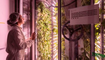 Start-up Agricool haalt 4 miljoen euro op voor aardbeienteelt in Parijs