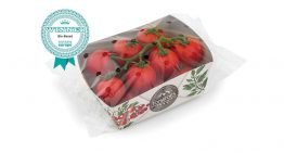 Solidus Solutions wint prijs voor verpakking met tomatenplantvezels