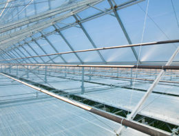 Ter Laak Orchids bouwt 50.000 m² DaglichtKas