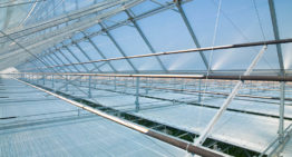 Ter Laak Orchids bouwt 50.000 m² DaglichtKas