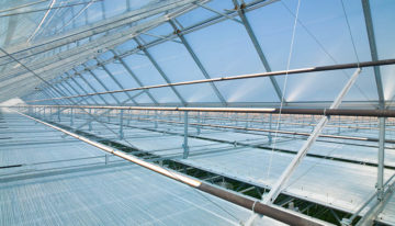 Ter Laak Orchids bouwt 50.000 m² DaglichtKas