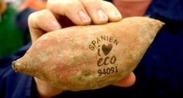 Nature & More gaat miljoenen plastic verpakkingen uitsparen met Natural Branding