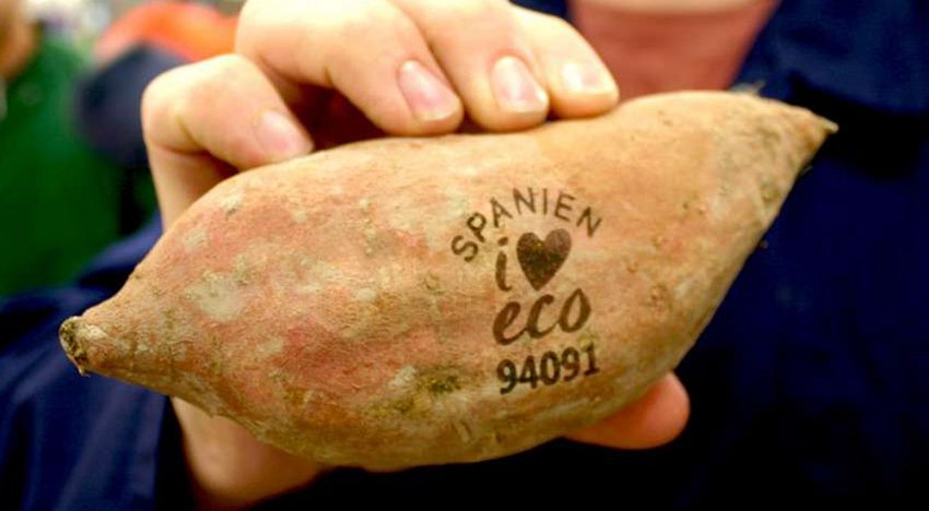 Nature & More gaat miljoenen plastic verpakkingen uitsparen met Natural Branding