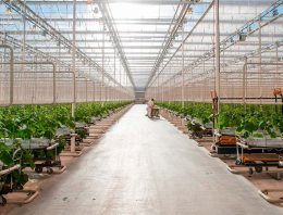 Serres Toundra gebouwd met Nederlandse kennis en technologie