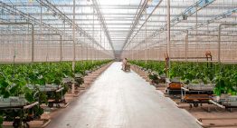Serres Toundra gebouwd met Nederlandse kennis en technologie