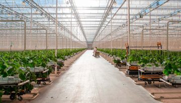 Serres Toundra gebouwd met Nederlandse kennis en technologie