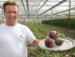 ‘Ambachtelijke teelt bosbietjes brengt smaak terug’