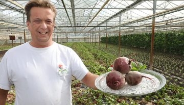 ‘Ambachtelijke teelt bosbietjes brengt smaak terug’