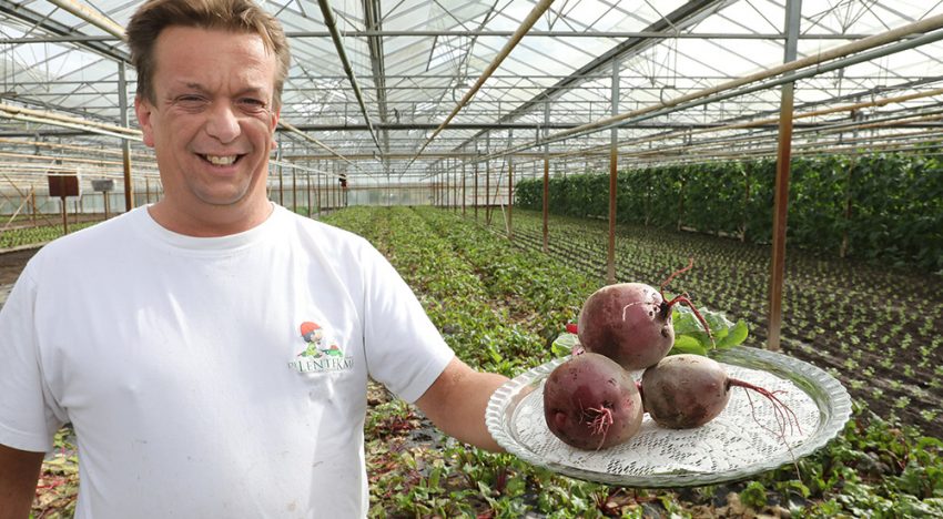 ‘Ambachtelijke teelt bosbietjes brengt smaak terug’