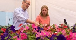‘Alerte plant kan een aanval van schimmels weerstaan’