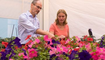 ‘Alerte plant kan een aanval van schimmels weerstaan’