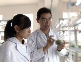 Lansingerland en bedrijfsleven naar grootste Agri-Expo van China