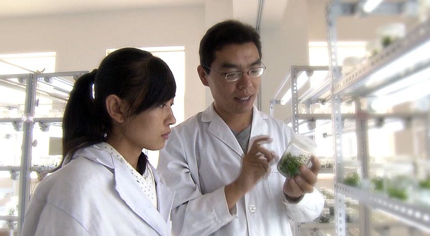 Lansingerland en bedrijfsleven naar grootste Agri-Expo van China