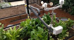 Farmbot Genesis introduceert gerobotiseerde teelt gewassen
