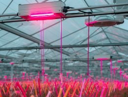 Vergelijking armaturen hulp bij keuze beste oplossing of voordelige variant