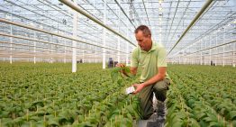 Vermeerderingsbedrijf benut op nieuwe locatie zijn grondstoffen optimaal