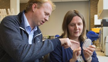 Nog geen zicht op biologische bestrijding van Rhizoctonia in radijs