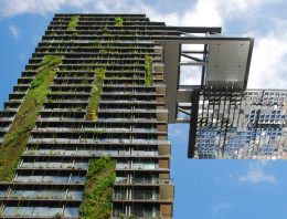 Integratie levend groen in gebouwen biedt kansen voor tuinbouw
