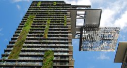 Integratie levend groen in gebouwen biedt kansen voor tuinbouw
