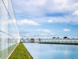 Mogelijkheid toepassing imidacloprid alleen bij 99,5% zuivering
