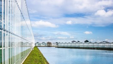 Mogelijkheid toepassing imidacloprid alleen bij 99,5% zuivering