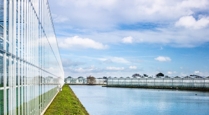 Mogelijkheid toepassing imidacloprid alleen bij 99,5% zuivering