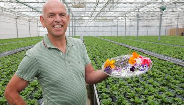 ‘Eetbare bloemen in de pot, met verhaal en recept’