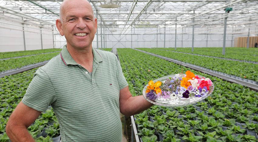 ‘Eetbare bloemen in de pot, met verhaal en recept’