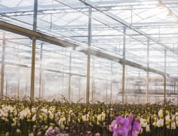 Waterkwaliteit cruciaal voor goede werking hogedruk nevelsysteem