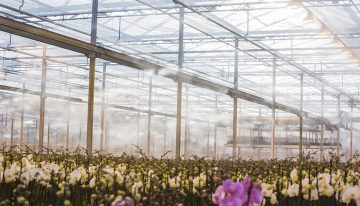 Waterkwaliteit cruciaal voor goede werking hogedruk nevelsysteem