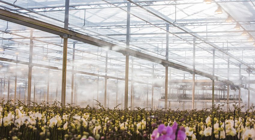 Waterkwaliteit cruciaal voor goede werking hogedruk nevelsysteem