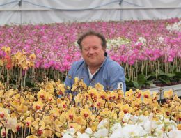 Biologische siertelers verenigen zich in Pure Organic