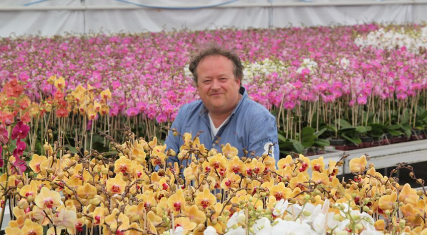 Biologische siertelers verenigen zich in Pure Organic